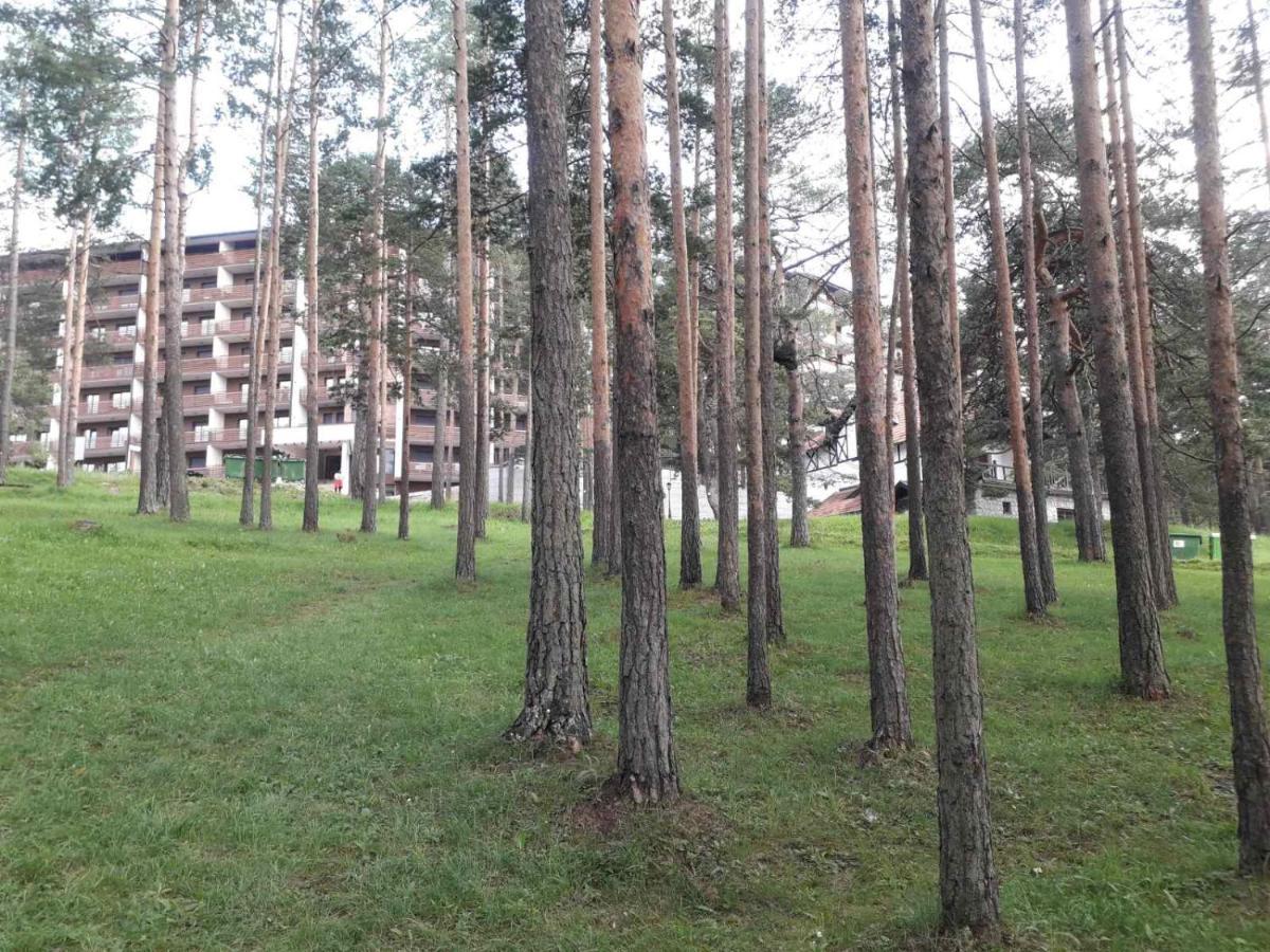 Lux Apartman Ss Zlatibor Vila Pekovic Green ภายนอก รูปภาพ